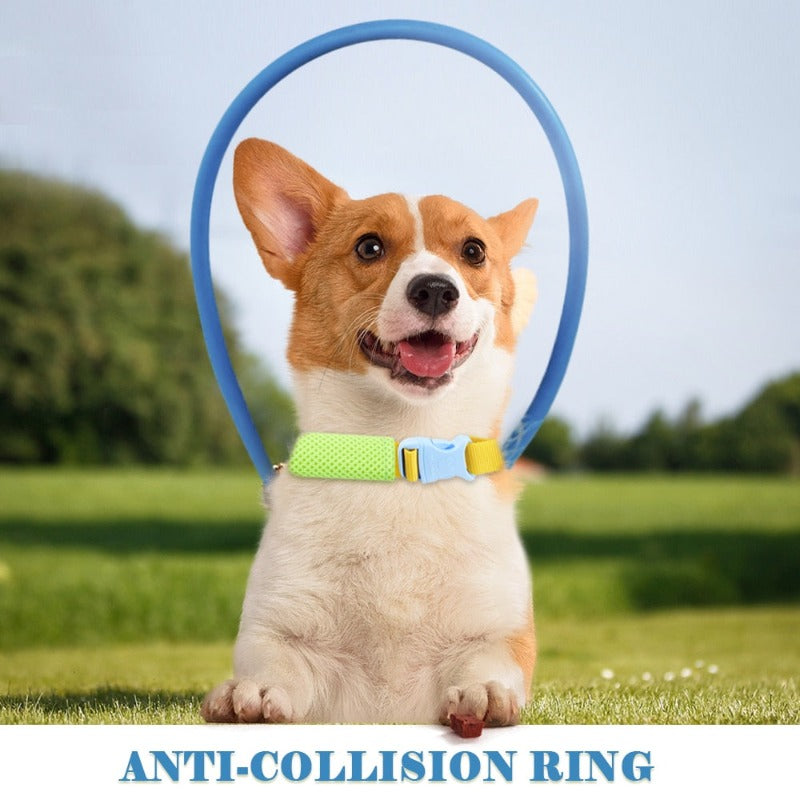 Blind Pet Dog Anti-collision Collar Dogs Prevent Collision Collars Supplies
