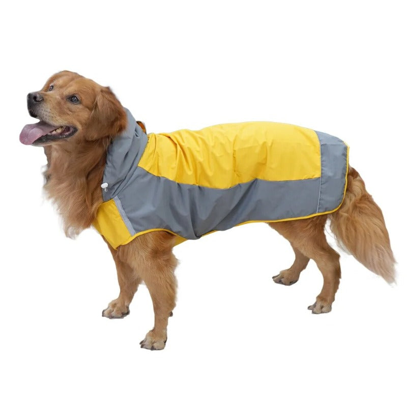 Color Matching Outdoor Dog Raincoat Casual Outdoor Dog Jacket