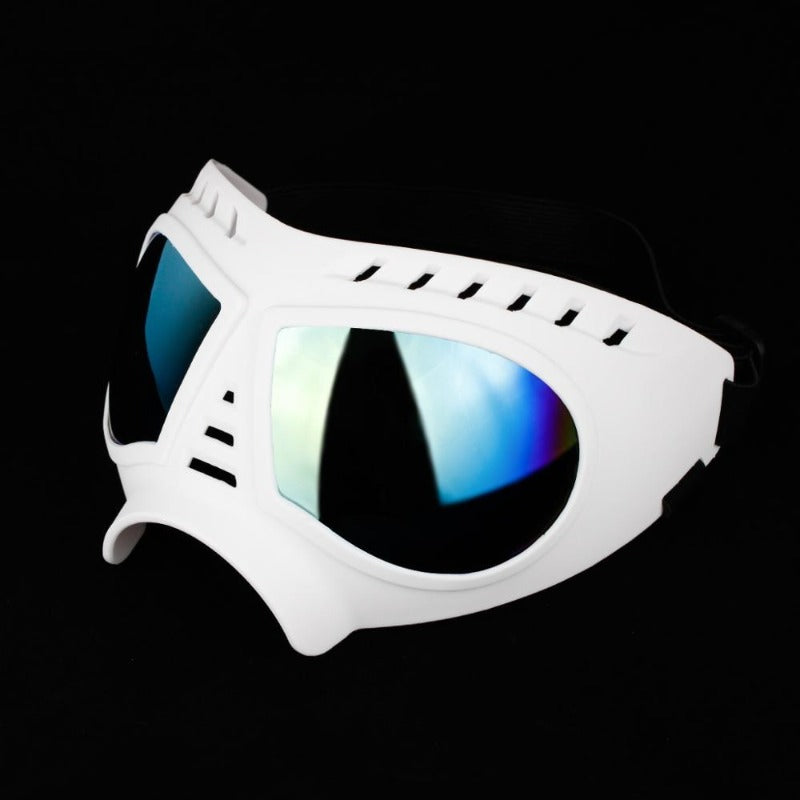Pet Dog Goggles Sunglasses UV Protection Windproof