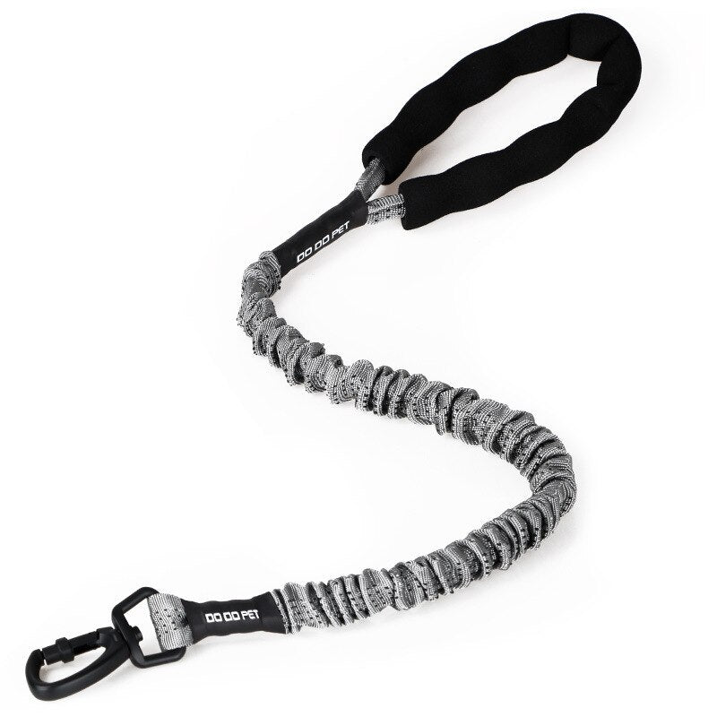 Retractable Pet Dog Leash Rope Dog Chain
