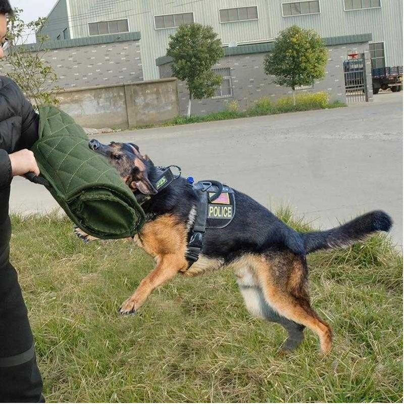 Dog Bite Sleeve With Handle Thickened Jute Training Young Arm Protection Safety Pet Dog Bite Sleeve