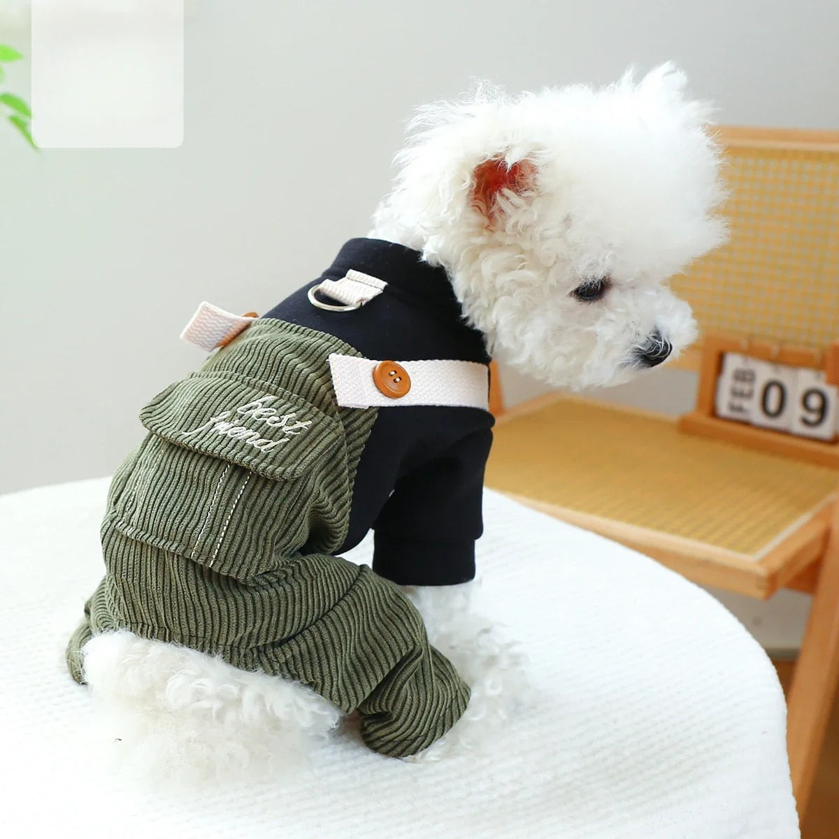 Dog Clothes Pet Clothing Autumn and Winter Casual Carrier Pants