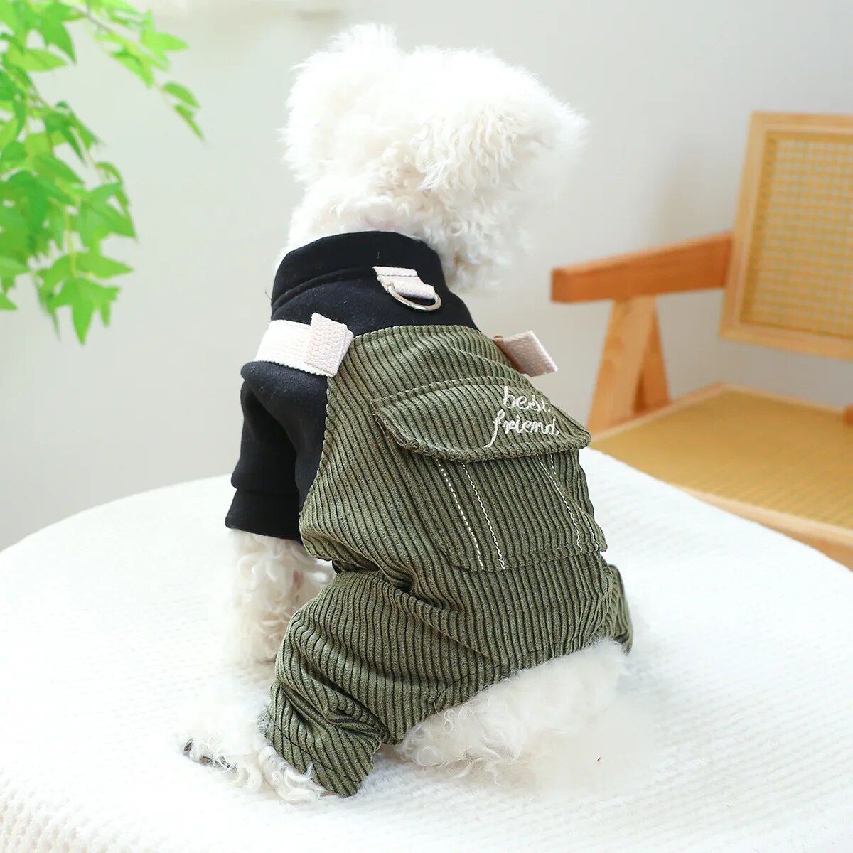 Dog Clothes Pet Clothing Autumn and Winter Casual Carrier Pants