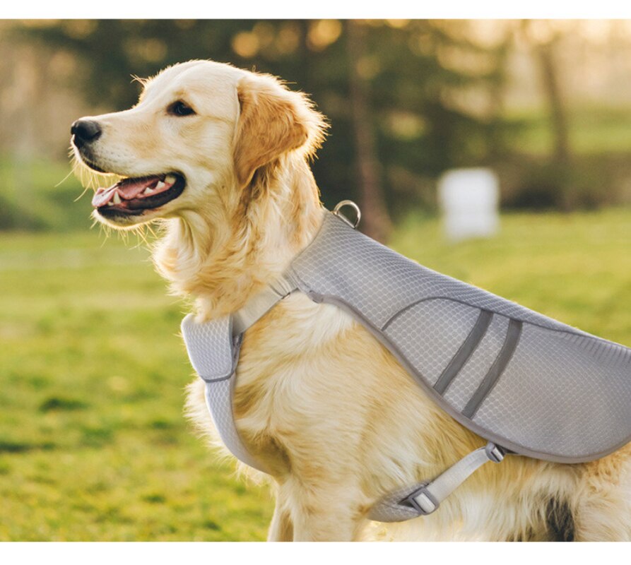 Dog Cooling Vest Rapid Cooling Dog Harness