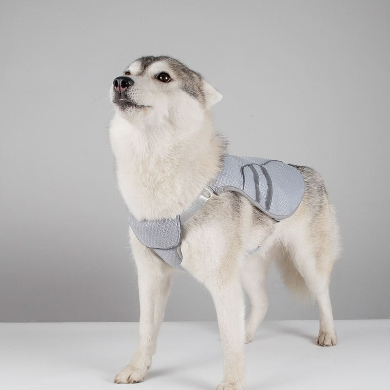 Dog Cooling Vest Rapid Cooling Dog Harness