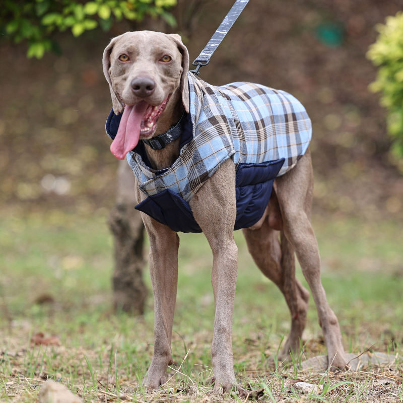 Dog Costume Waterproof Plaid Clothes Dog Winter Coat Warm Dog Jacket