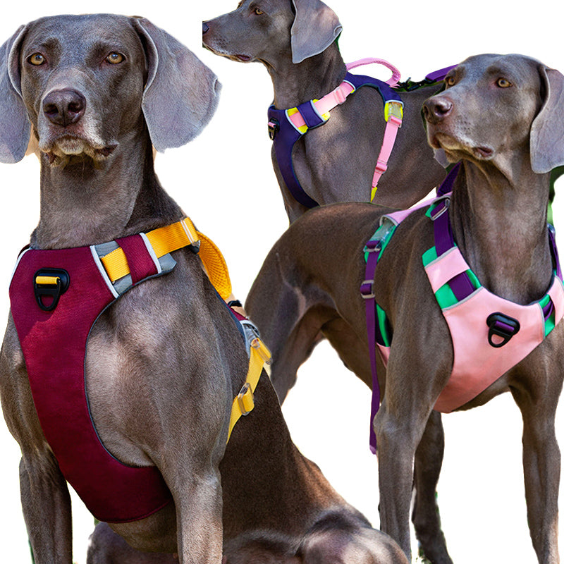 Dog Harness Adjustable Liftable Harness Reflective Pet Leads Vest