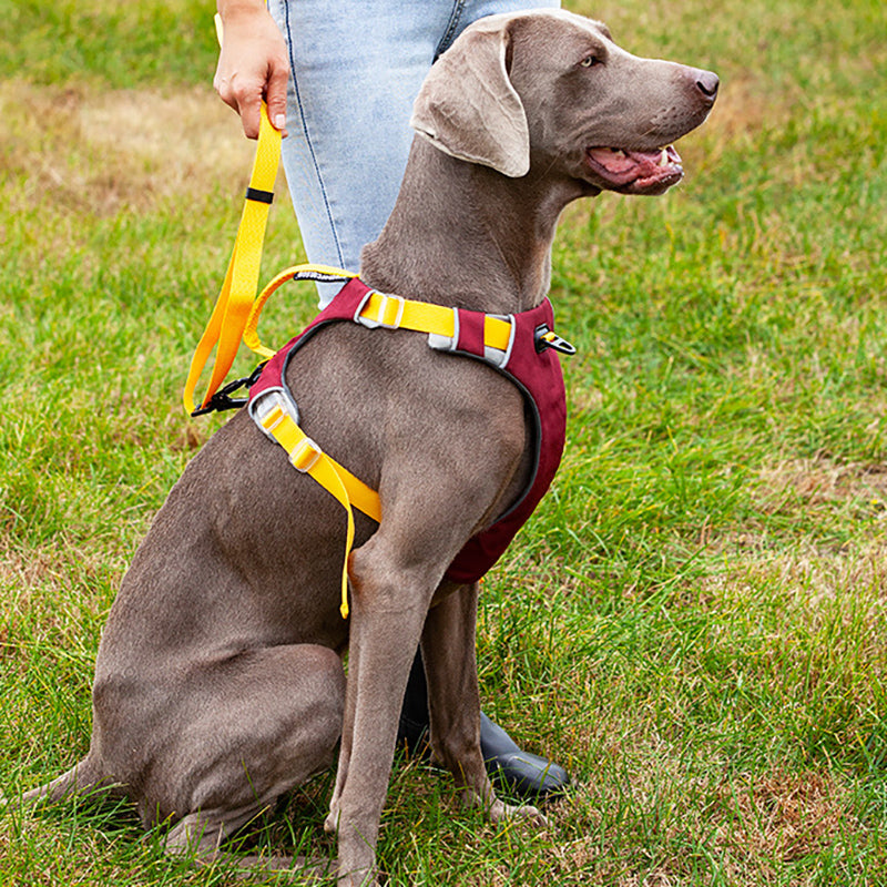 Dog Harness Adjustable Liftable Harness Reflective Pet Leads Vest