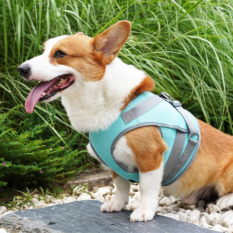 Dog Cooling Harness Mesh Dog Cooling Vest with D-Ring Adjustable Straps