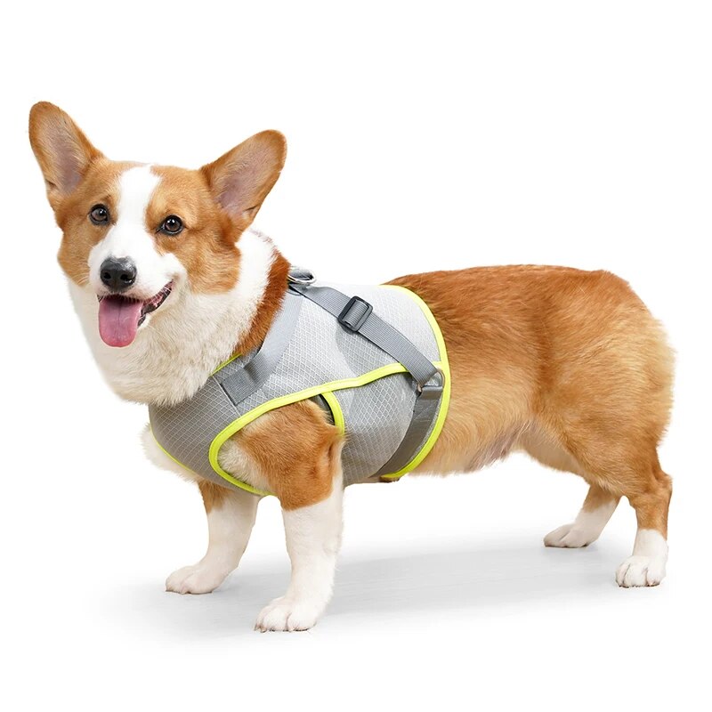 Dog Cooling Harness Mesh Dog Cooling Vest with D-Ring Adjustable Straps