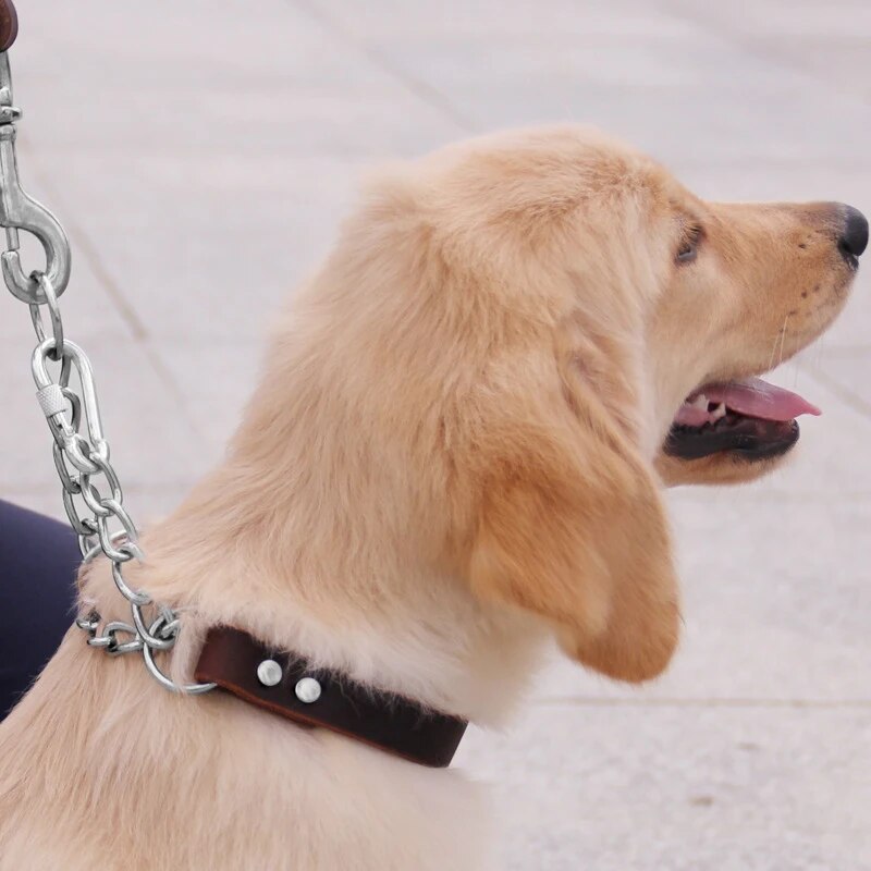 Dog Leashes Real Leather Dog Collar P Chain