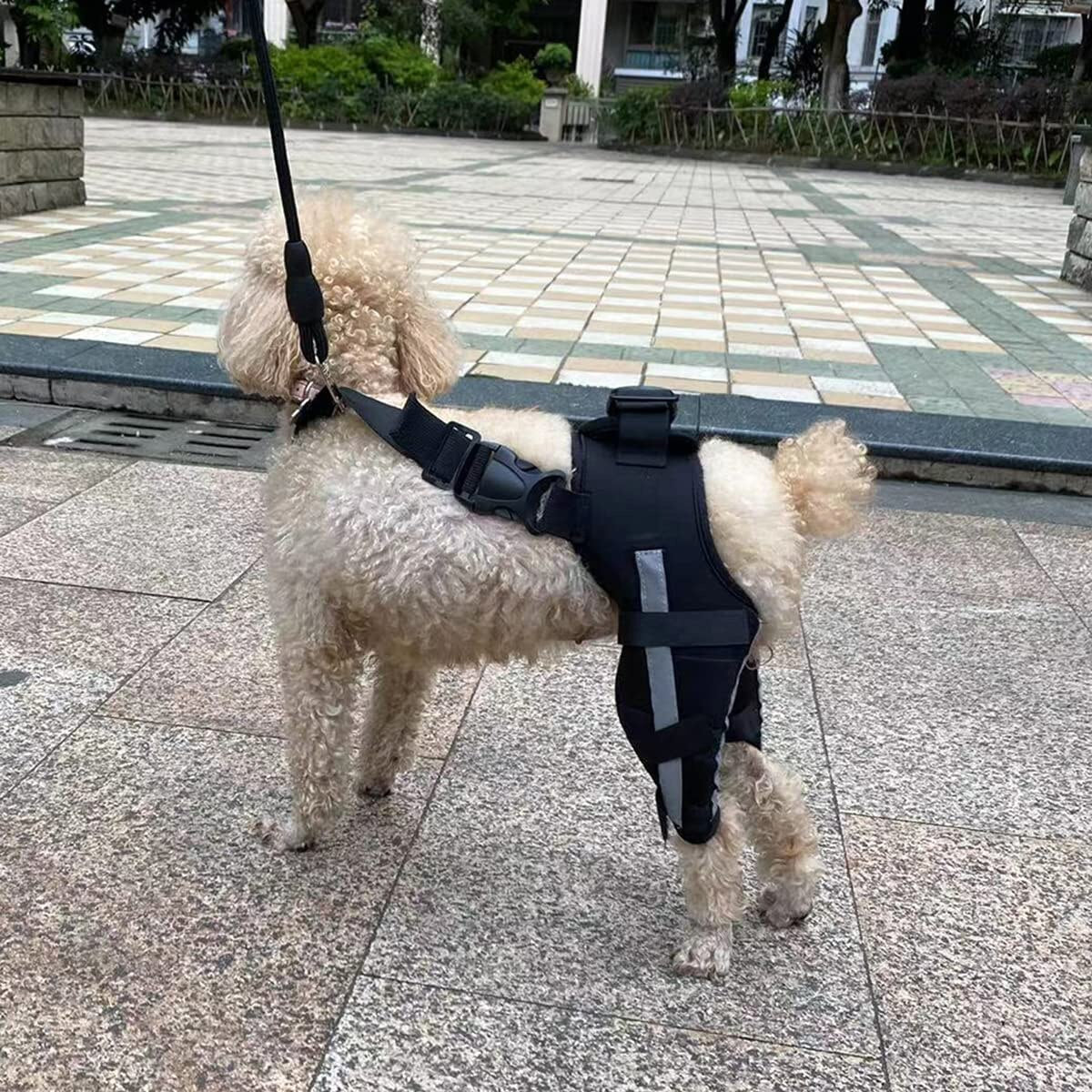 Dog Leg Reflective Dog Bandages  Adjustable Dog Leg Knee Brace Straps
