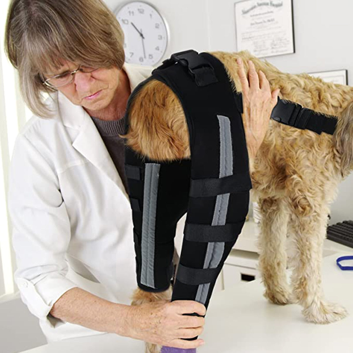 Dog Leg Reflective Dog Bandages  Adjustable Dog Leg Knee Brace Straps