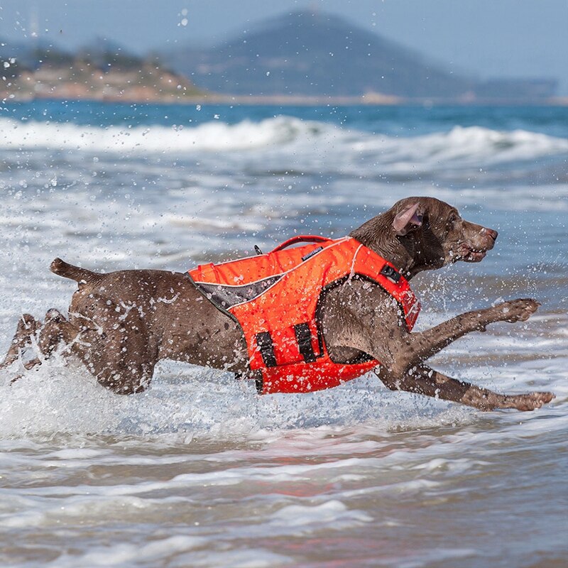 Dog Life Jacket With High Buoyancy For Medium Large Dog