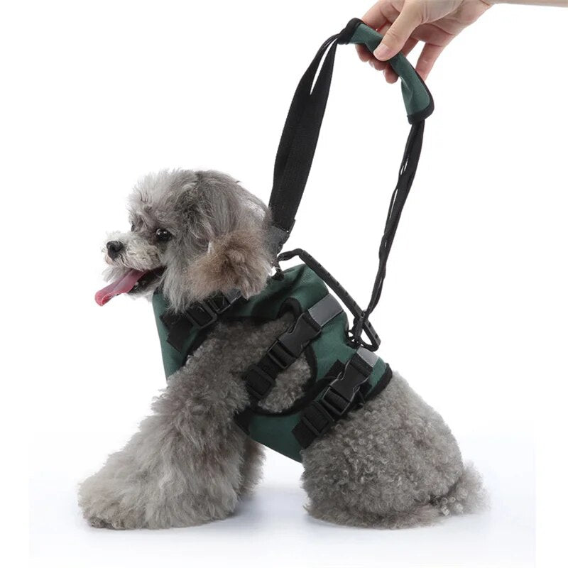 Dog Lift Harness Pet Dog Recovery Rehabilitation Sling