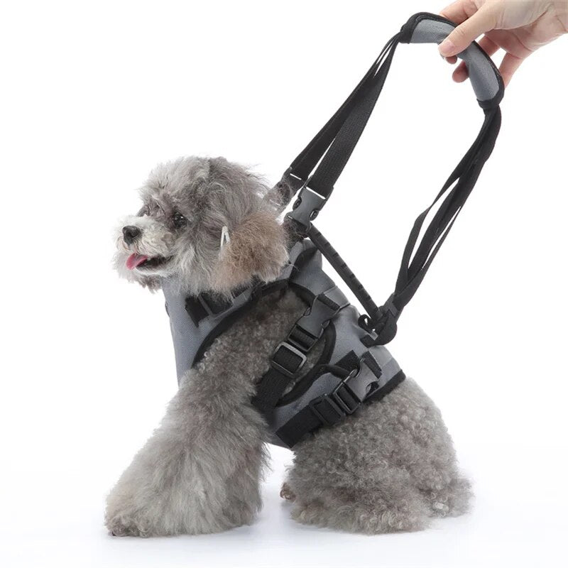 Dog Lift Harness Pet Dog Recovery Rehabilitation Sling