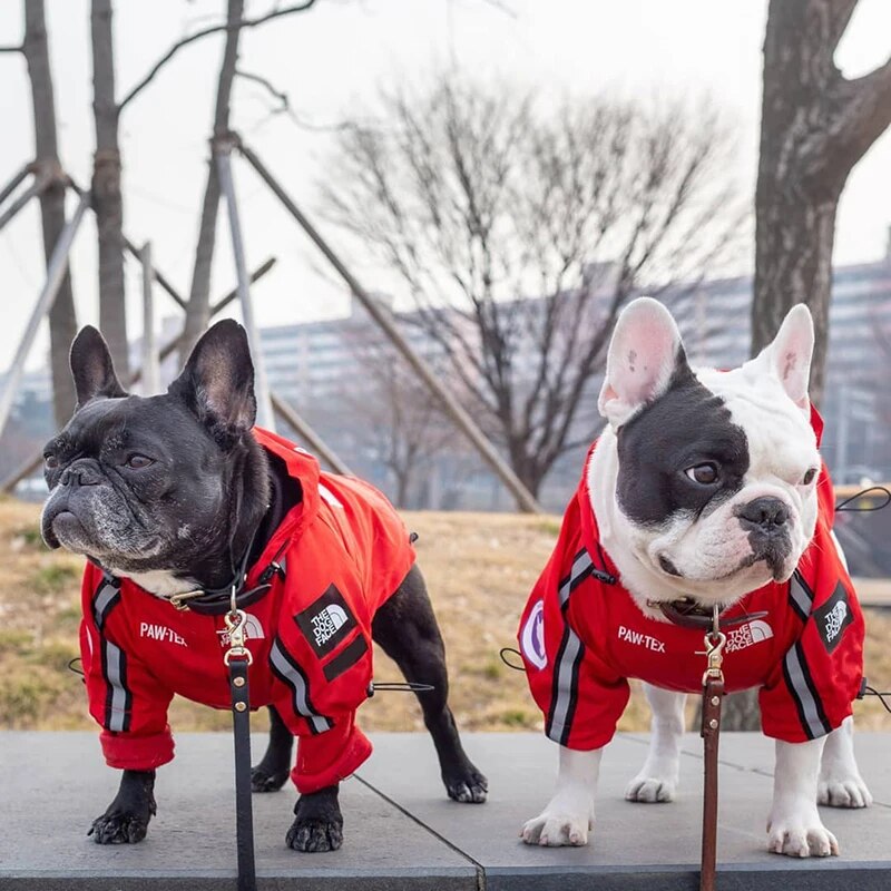 Dog Raincoat Waterproof and Windproof Reflective Dog Raincoat Jacket with Hood
