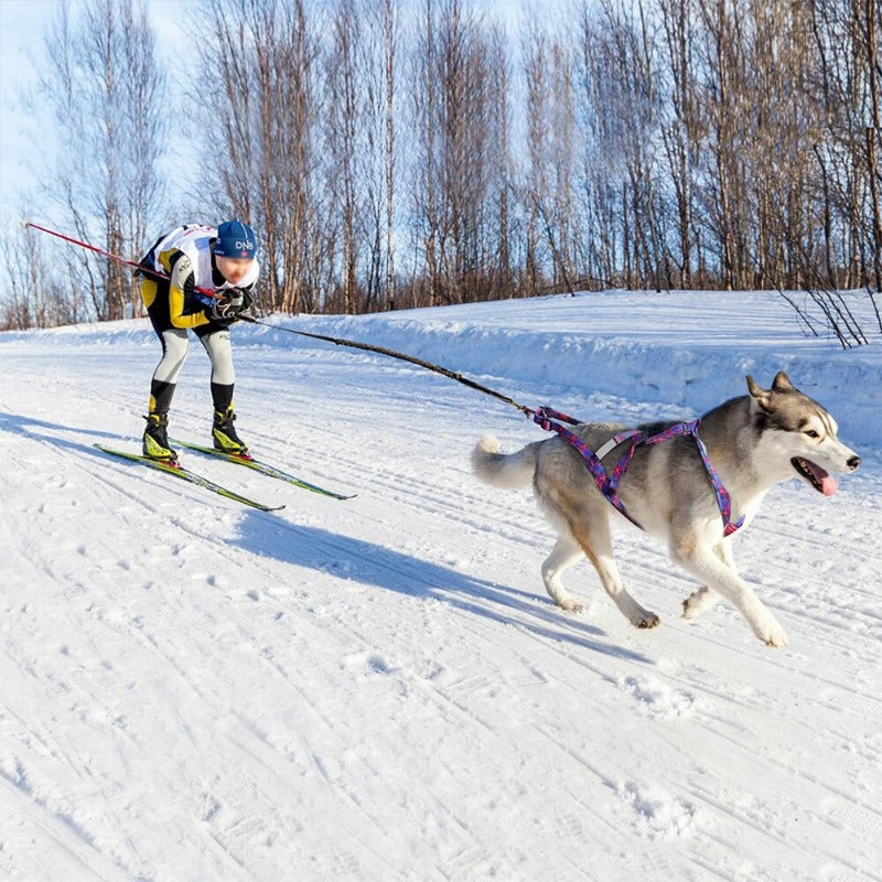 Dog Sled Harness Reflective Dog Weight Pulling Harnesses