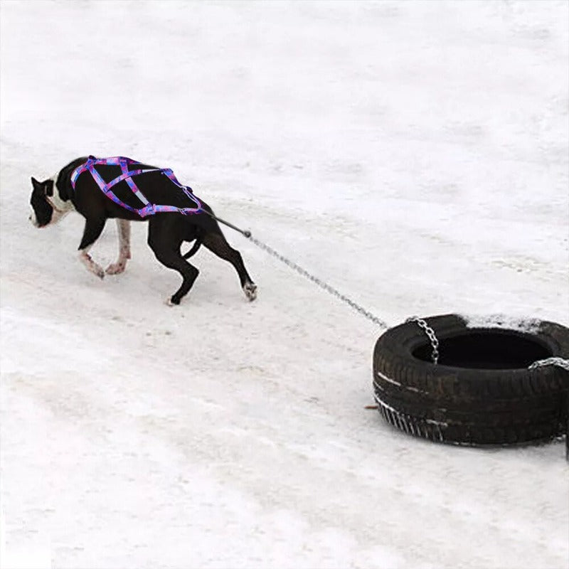 Dog Sled Harness Reflective Dog Weight Pulling Harnesses