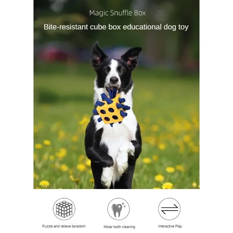 Dog Sniffing Rubik's Cube Toy Pets Boredom Interactive Toy