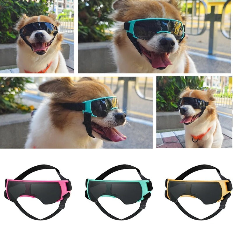 Dog Sunglasses Uv Protection Windproof Goggles Pet Eye Wear