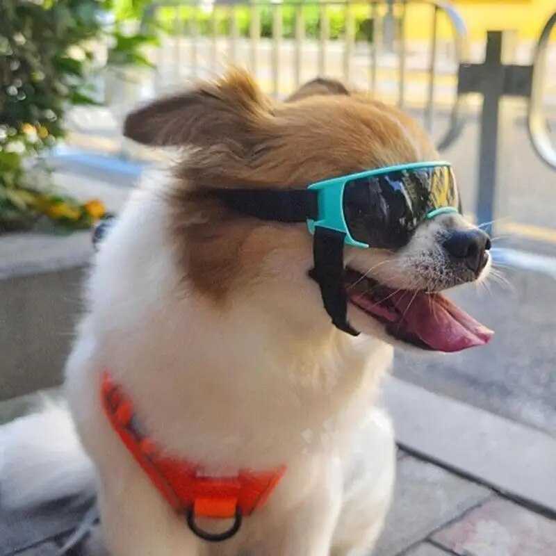 Dog Sunglasses Uv Protection Windproof Goggles Pet Eye Wear