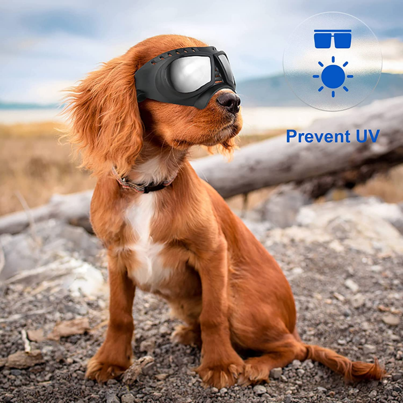 Dog Sunglasses Dog UV Windproof Snowproof Mask With Soft Frame Adjustable Straps For Small Breed Dog Goggles