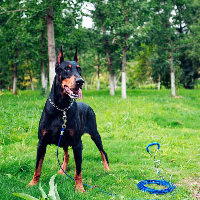 Outdoor Dog Fixed Pile Dog Tie Out Cable and Stake