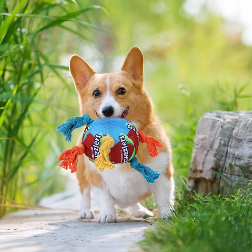 Dog Sniffing Toys Soft Snuffle Chewable Ball Toys