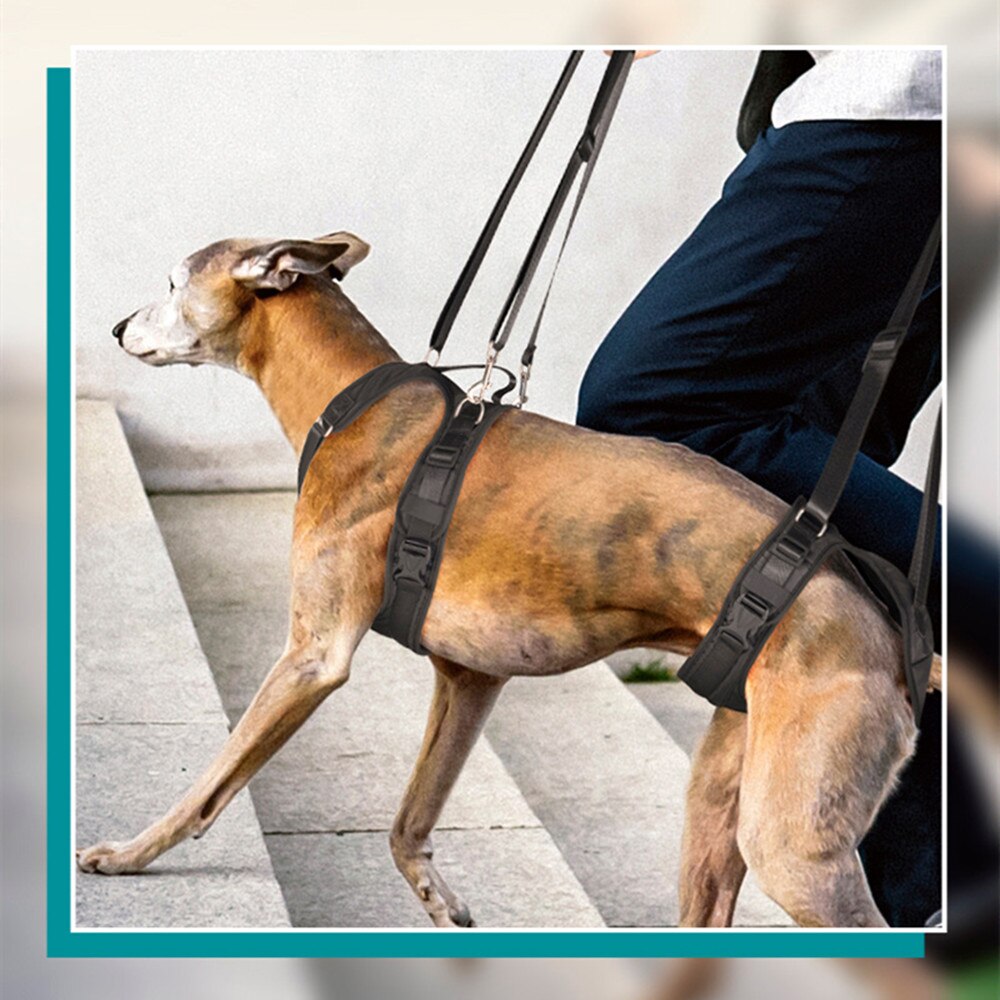 Dog Split Auxiliary Harness & Leash Set Pet Dog Front and Rear Legs Walking Assistance Belt