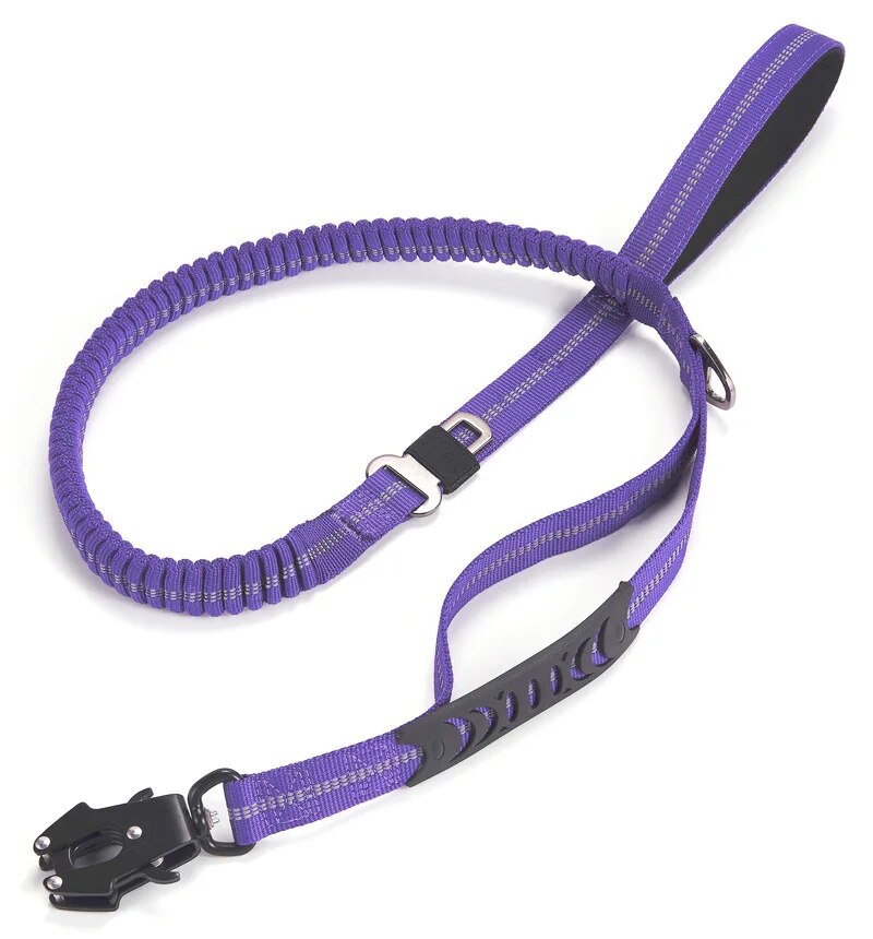 4 in 1 Explosion-proof Dog Leash With Car Safety Clip