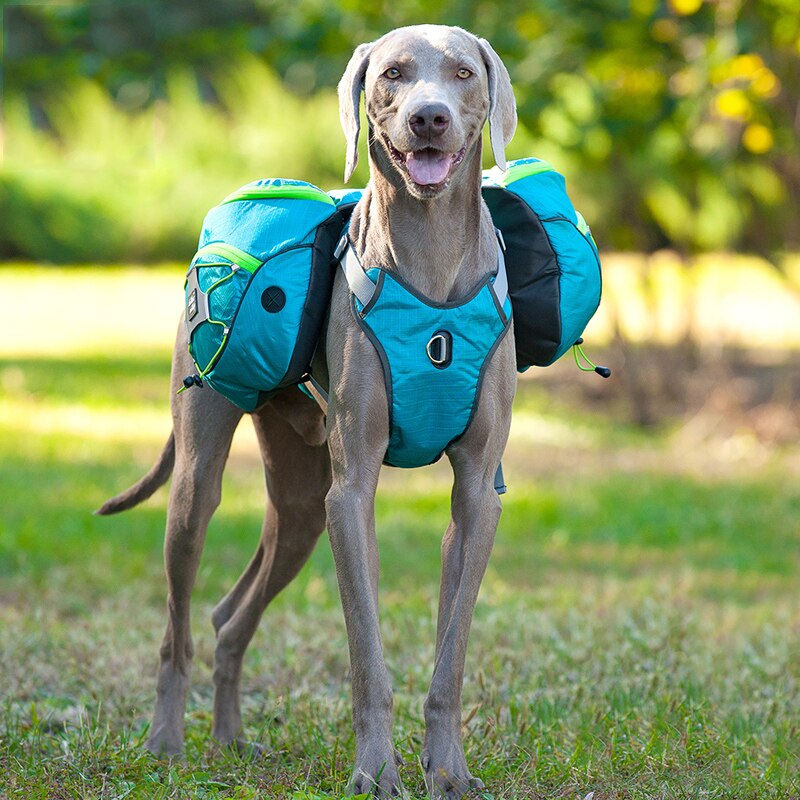 Nylon Large Dog Animal Backpack Harness Vest