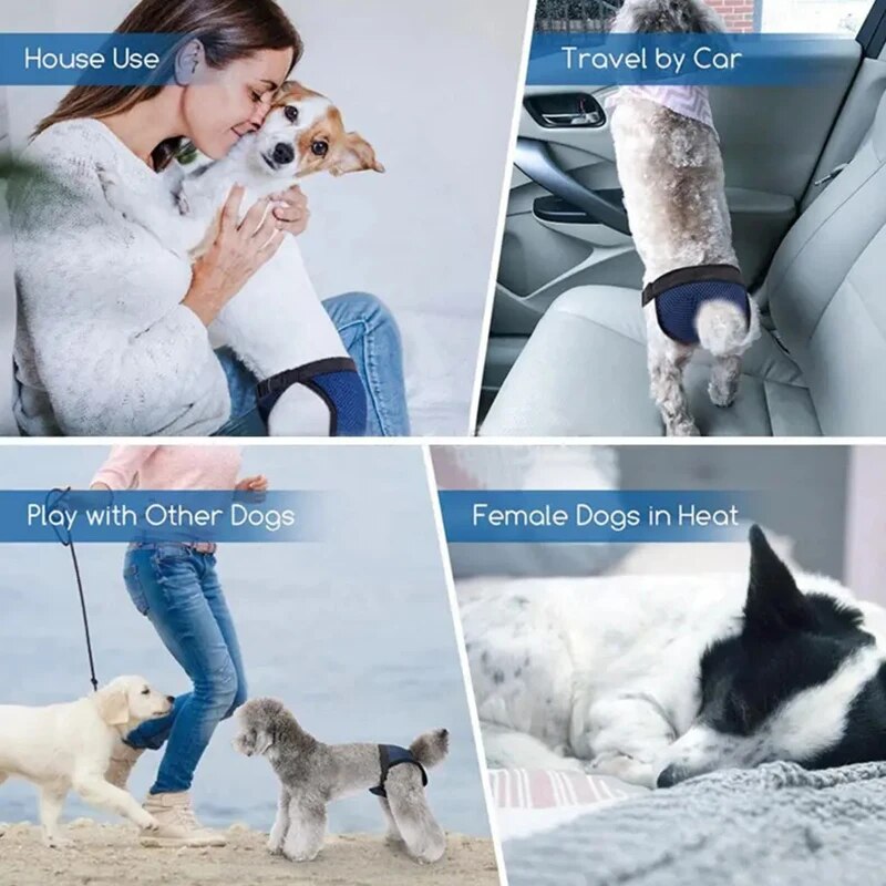 Female Dog Diapers Panties with 3 Cotton Pads Reusable Diapers Pet Sanitary Underwear