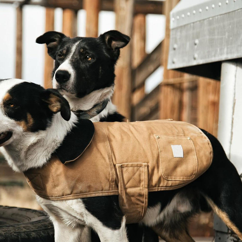 Dog Windproof Firm Duck Insulated Dog Chore Coat Duck Canvas Water Repellent Coat For Dogs