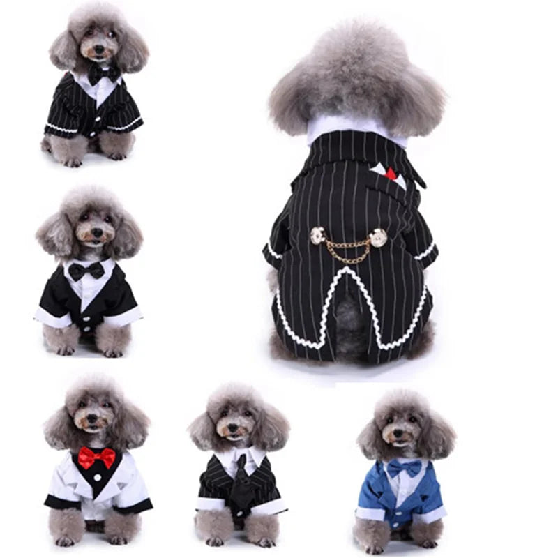 Gentleman Pet Dog Clothes Dog Pet Wedding Suit