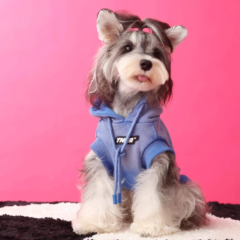 Gradient Color Casual Sleeveless Pet Dog Sweatshirt Winter Dog Warm Hoodie Dog Sweater