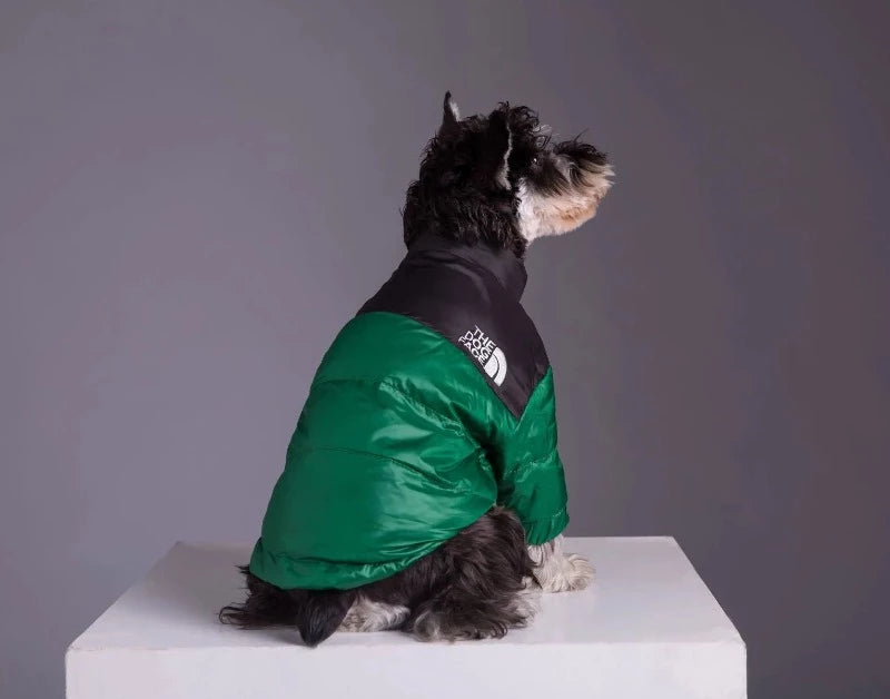 Winter Pet Dog Down Jacket The Dog Face Pet Warm and Cold-proof Puppy Coat
