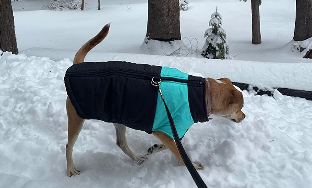 Winter Dog Clothes Pet Dog Jacket Waterproof Warm