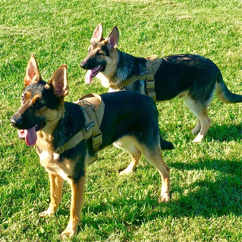 Dog Harness Leash Set Tactical Chest Vest Adjustable