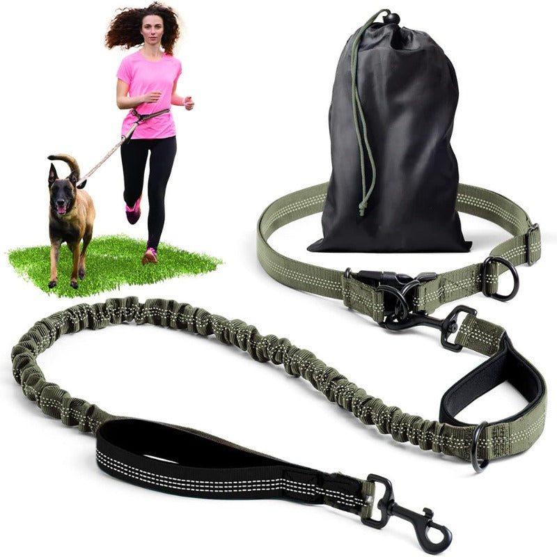 Hands Free Dog Leash Professional Harness with Reflective Stitches