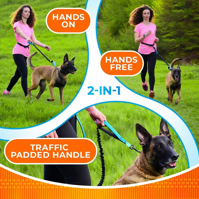 Hands Free Dog Leash Professional Harness with Reflective Stitches