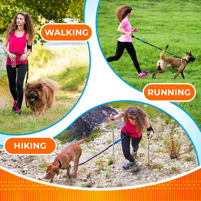 Hands Free Dog Leash Professional Harness with Reflective Stitches