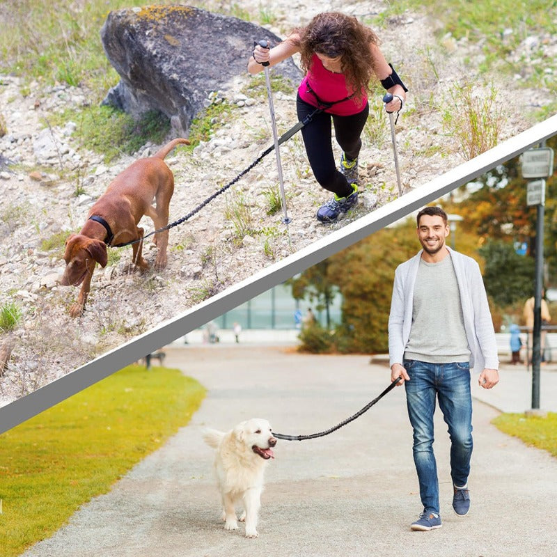 Hands Free Dog Leash Professional Harness with Reflective Stitches