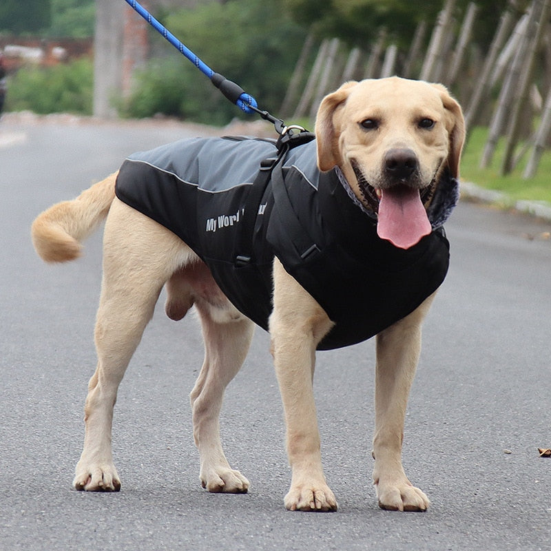 Large Dogs Winter Warm Jacket Waterproof Reflective
