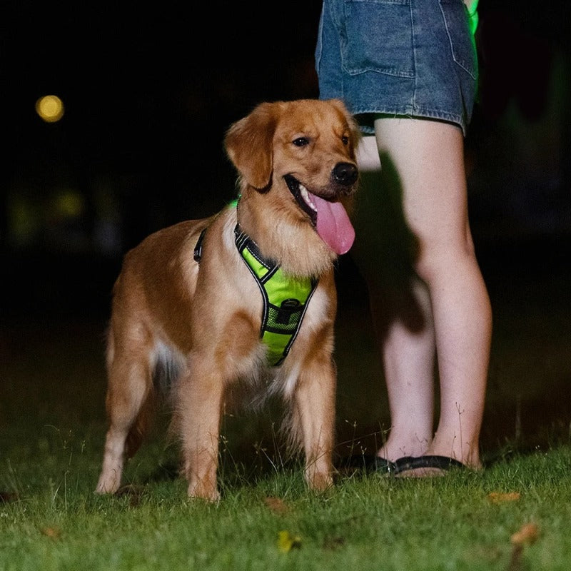 LED Dog Harness Reflective Adjustable  Durable Light Up Dog Harness