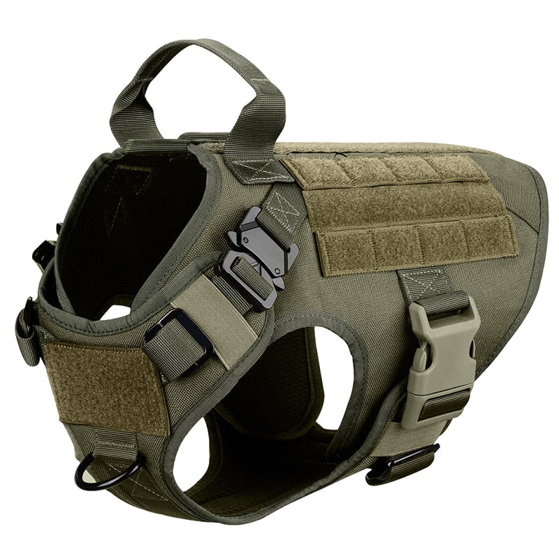 Large Dog Harness And Leash Set Training Walking Vest