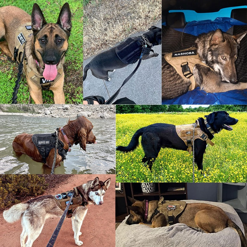 Large Dog Harness And Leash Set Shepherd Malinois Training Walking 5pcs Set