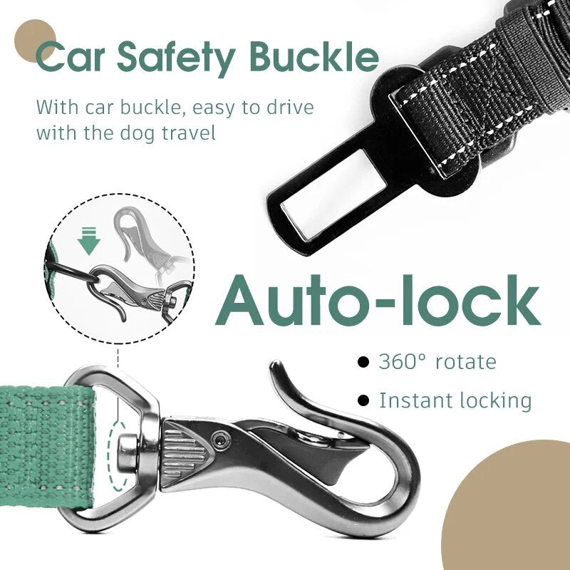 Multifunctional Dog Leash Shock Absorbing Reflective Dog Leash For Dogs Walking