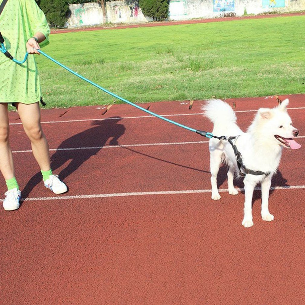 Nylon Reflective Dog Harness Leash For Medium Large Dogs Leads