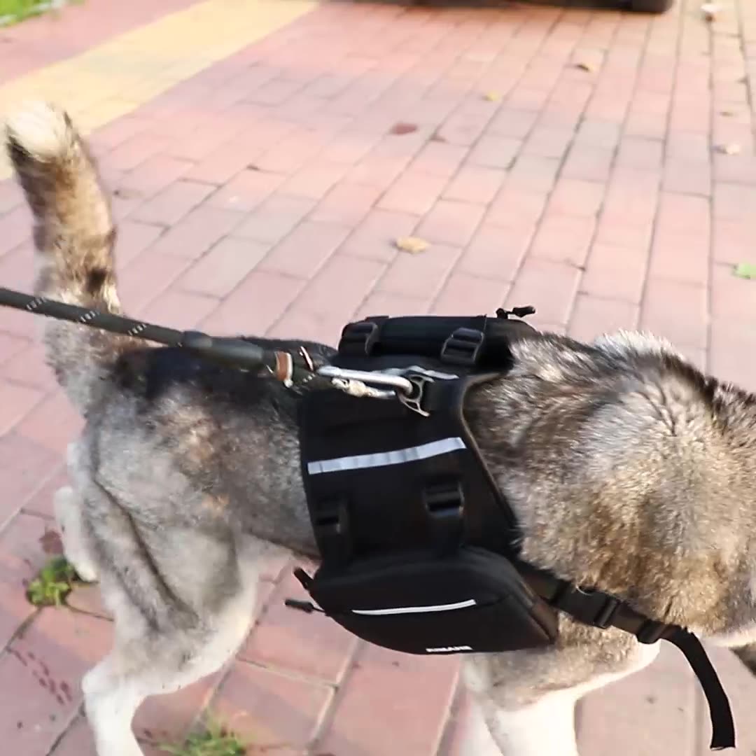 Outdoor Dog Backpack Dog Harness Adjustable Waterproof Reflective Hiking Dog Saddlebag Backpack